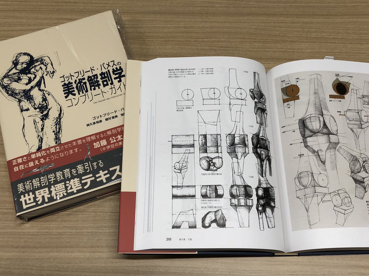 伊豆の美術解剖学者 on X: