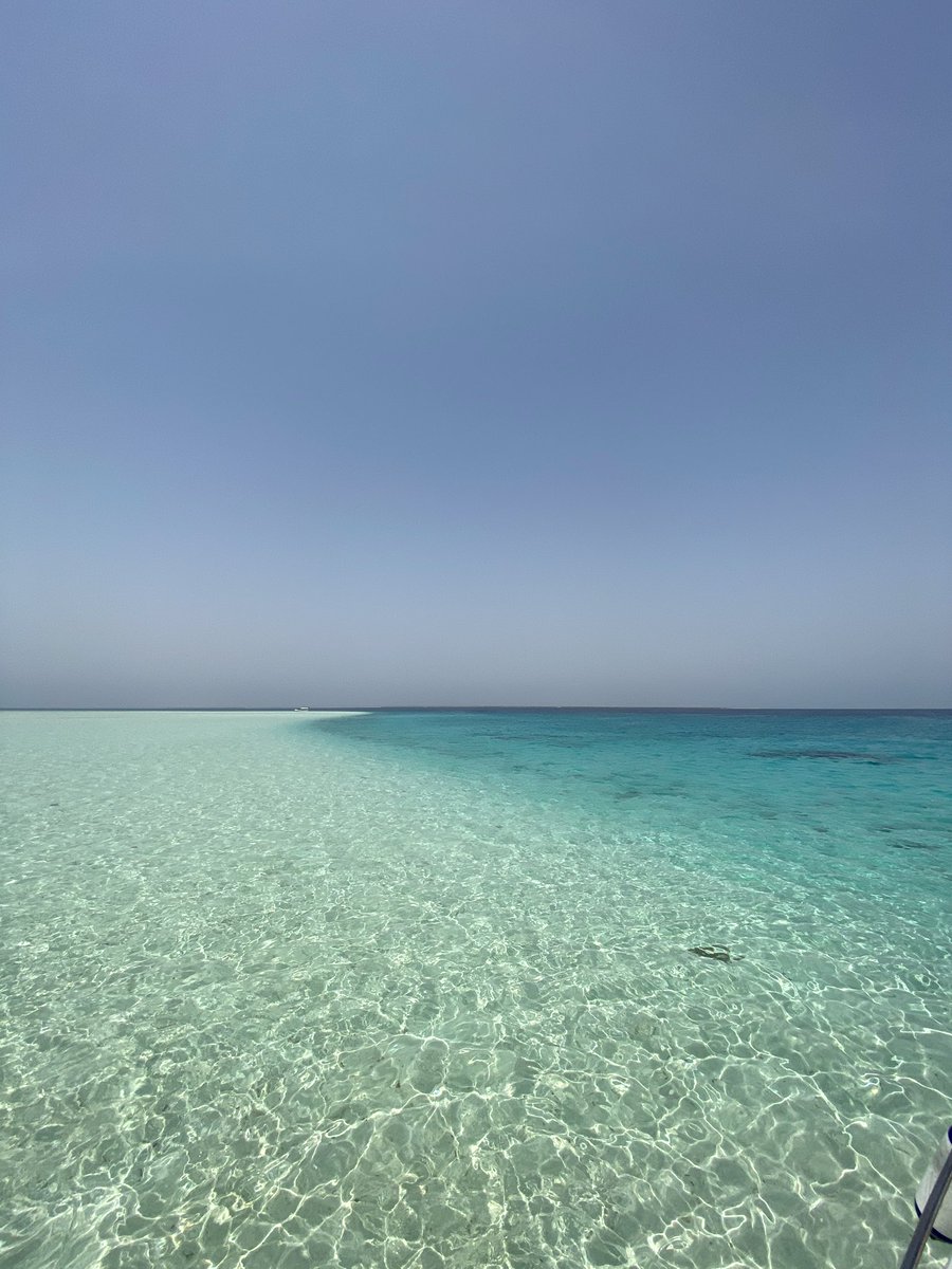 KhuloodOlaqi's tweet photo. مالديڤ السعودية 🌴☀️🇸🇦 أُُملج الجميلة❤️ https://t.co/dfiWeeiDnv