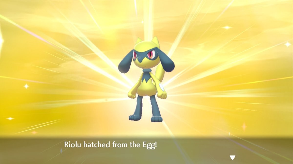 FuniJoek's tweet photo. roughly 520 eggs later #PokemonSwordShield #NintendoSwitch https://t.co/Lc8gRlfzHh