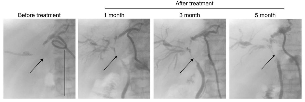 Nature Biomedical Engineering tweet media