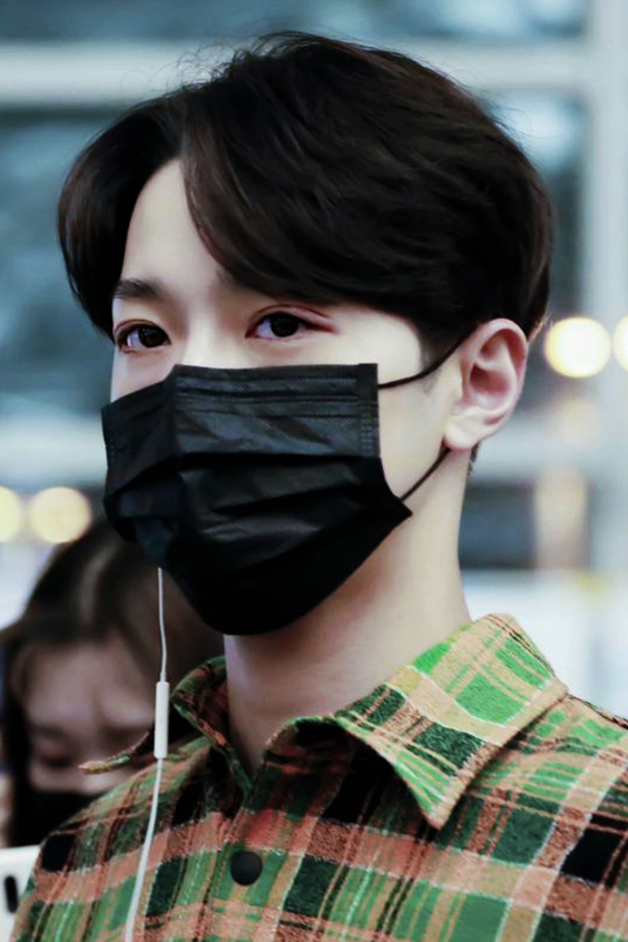 LinHoAesthetic's tweet photo. green travel 🌏✈💚🍀🌿

#라이관린 #유선호 #laikuanlin #yooseonho #linho #หลินโฮ https://t.co/6twumSavdl