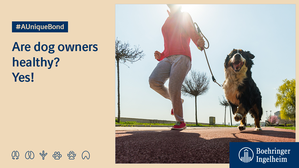 BoehringerMEA's tweet photo. Do you own a dog? If so, it’s good news for you as according to studies, dog owners are more likely to achieve their fitness goals! #AUniqueBond 🐶 https://t.co/BfYLiYRzXO