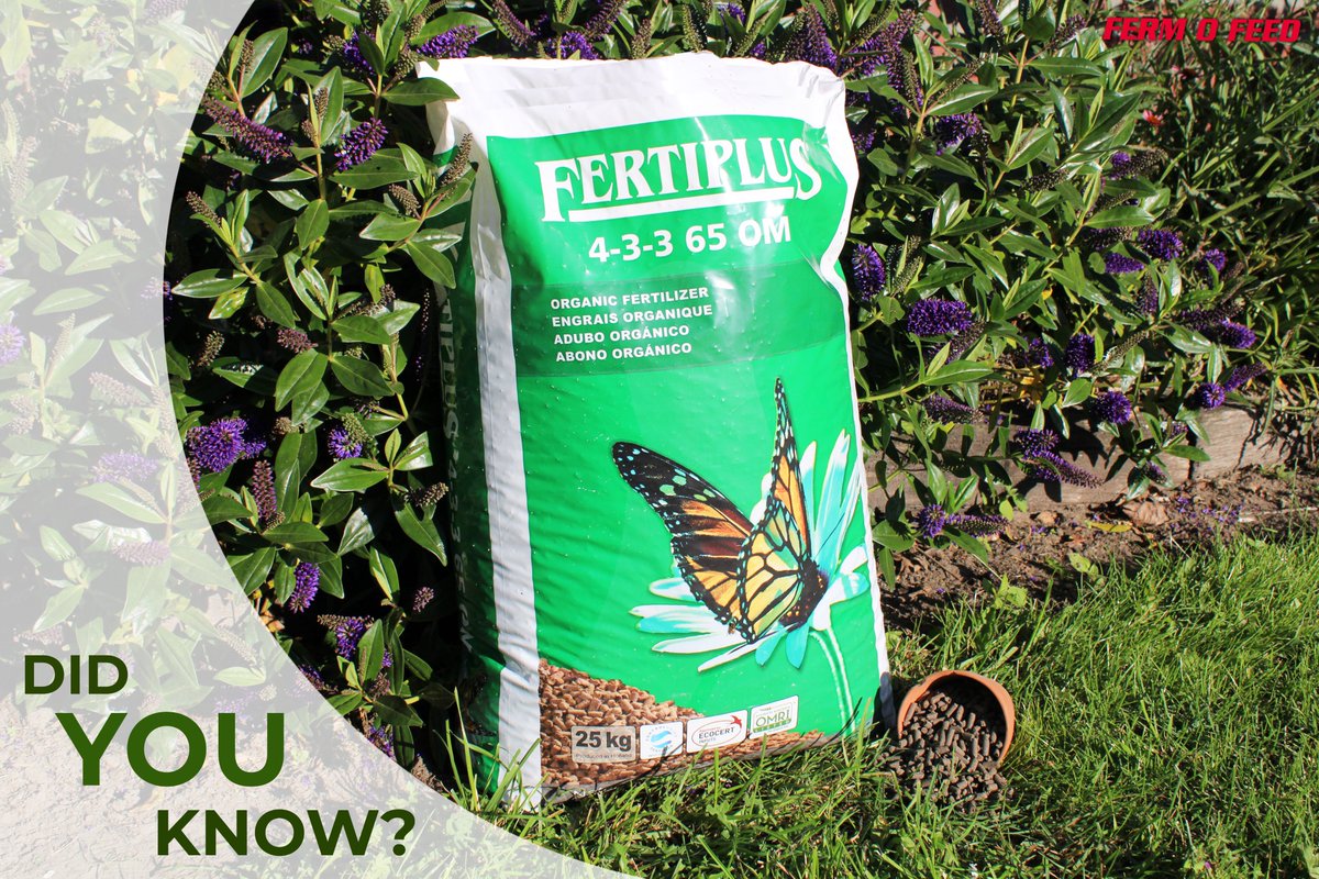fermofeed's tweet photo. 𝐃𝐢𝐝 𝐲𝐨𝐮 𝐤𝐧𝐨𝐰?🌱

That our #organicfertilizers are often used for #gardening purposes in the retail market? Due to great nutritional values, nice colours will appear in no-time and plants will grow bigger than ever! More information: https://t.co/sWLHUWVKqt

#agriculture https://t.co/FQFjA4Fseq