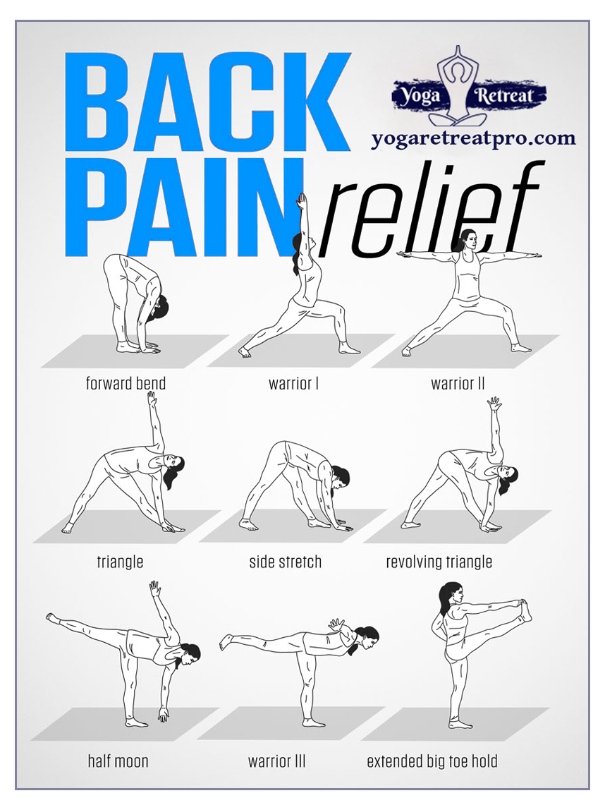 YogaRetreatpro's tweet photo. Follow us to connect the more yoga related updates for  your health.For more Information visit: https://t.co/7Ug73FQYcv
#newyogachallenge #newchallenge #challengeannouncement #goddesses #goddessesunite #yogini #yogisofinstagram #yogapose #igyogacommunity #yogateacher https://t.co/VzQyNNwxyF