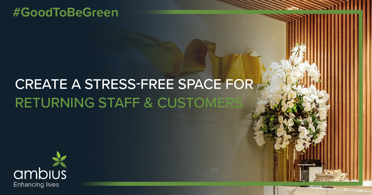 Ambius_IE's tweet photo. #Green #IndoorPlants are scientifically known to be great stress relievers. #HangingBaskets by #Ambius are perfect to create a green, calm and relaxing environment for those returning to your business: https://t.co/K5J1YcNmmD

#GoodToBeGreen #Sustainability #WednesdayVibes https://t.co/LC731CztWx