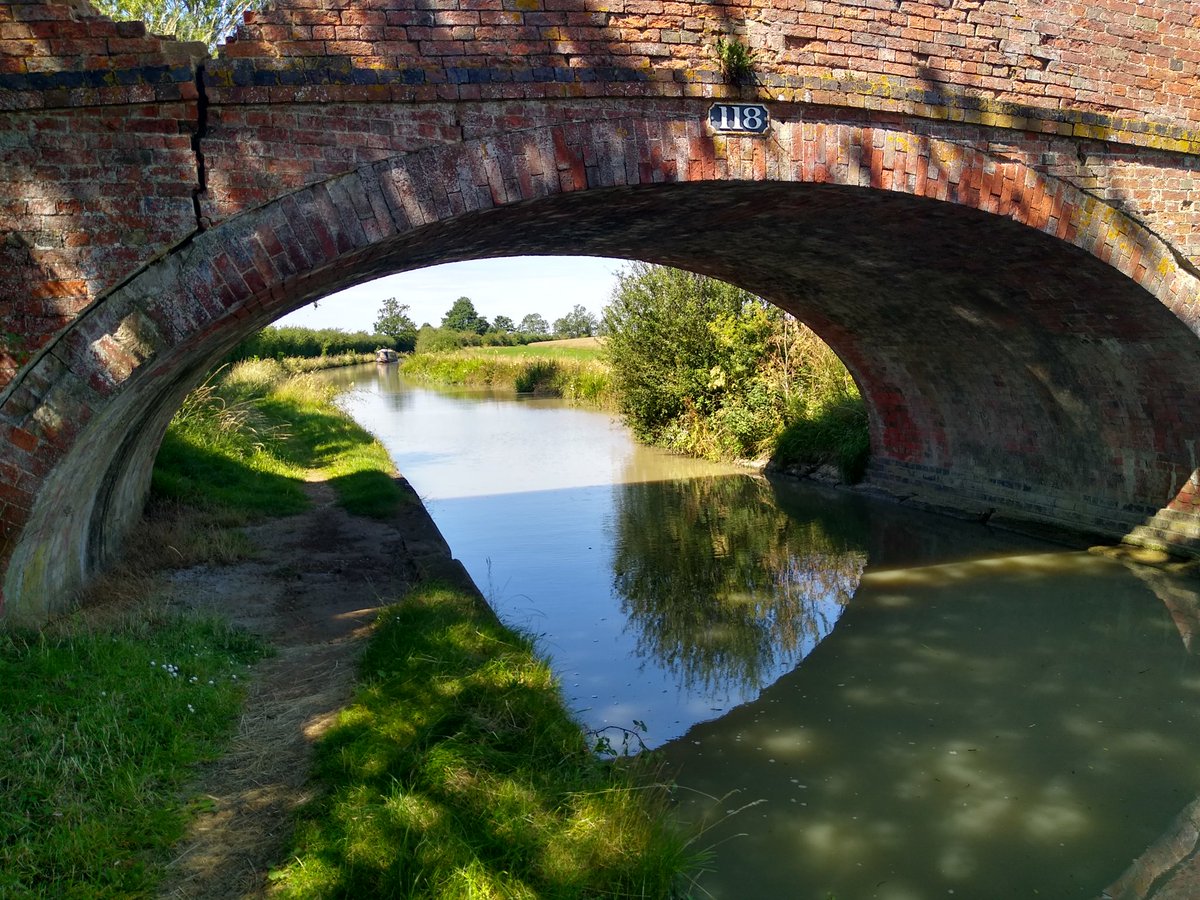 Richard MacKenzie (@_the_gardener_) on Twitter photo 