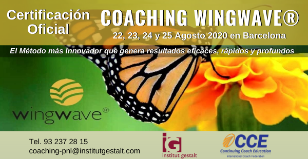 PortaldCoaching's tweet photo. 🦋Certifícate en #COACHING WINGWAVE® el Método que te ofrece convertirte en un especialista en la gestión del estrés. Del 22 al 25 de Agosto en @InstitutGestalt de Barcelona

INFÓRMATE AQUÍ👉 https://t.co/CkOSZTlhmN

#Wingwave #Coach #PNL #CoachingWingwave #CursosCoaching https://t.co/Z3wkNFgNC8