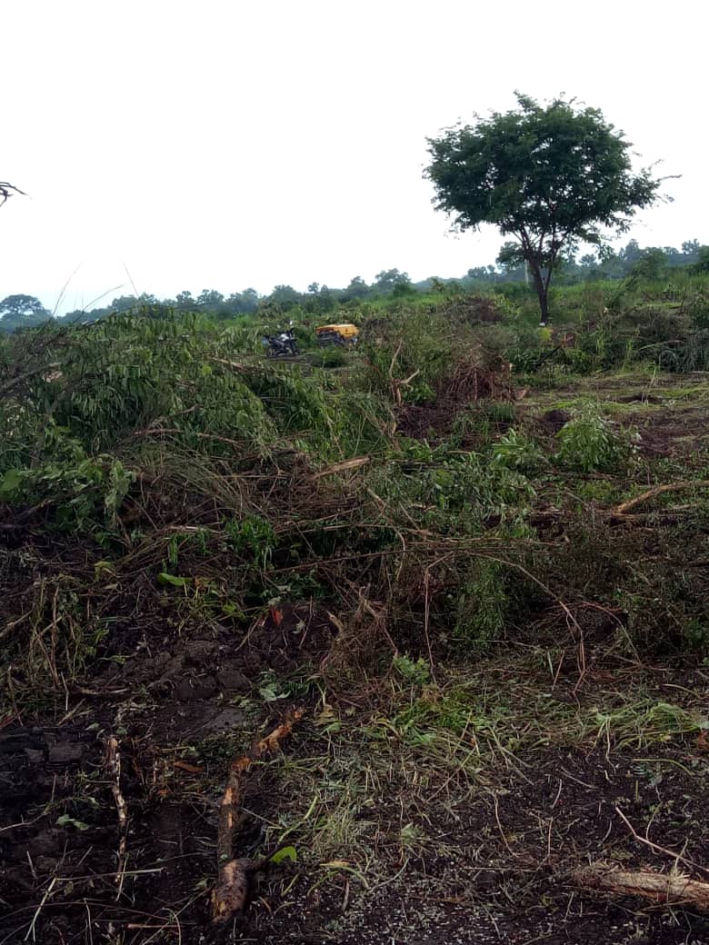 360_farm's tweet image. Hurry up and sign up to own your farm🌾🌾. Work has already began on our farm. Our vines will soon be ready for planting. 
Visit farm360global.com to learn more.

#planting  #ownafarm #signup