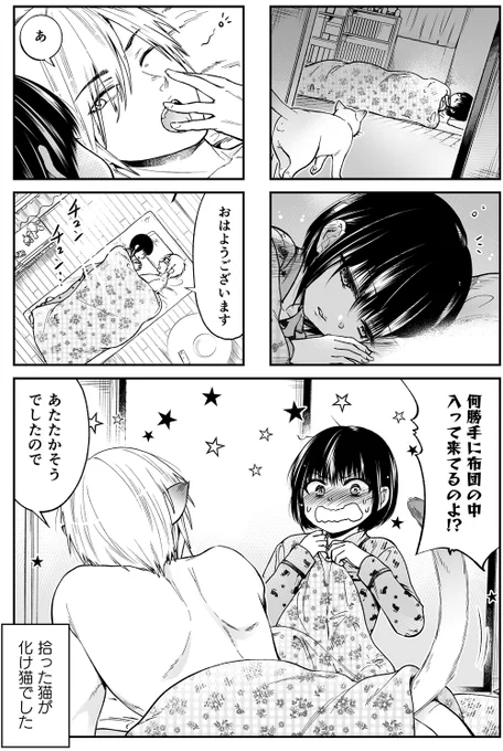 友達のいないJCが化け猫と暮らすことになったらギャルが寄ってきた話(1/4) 