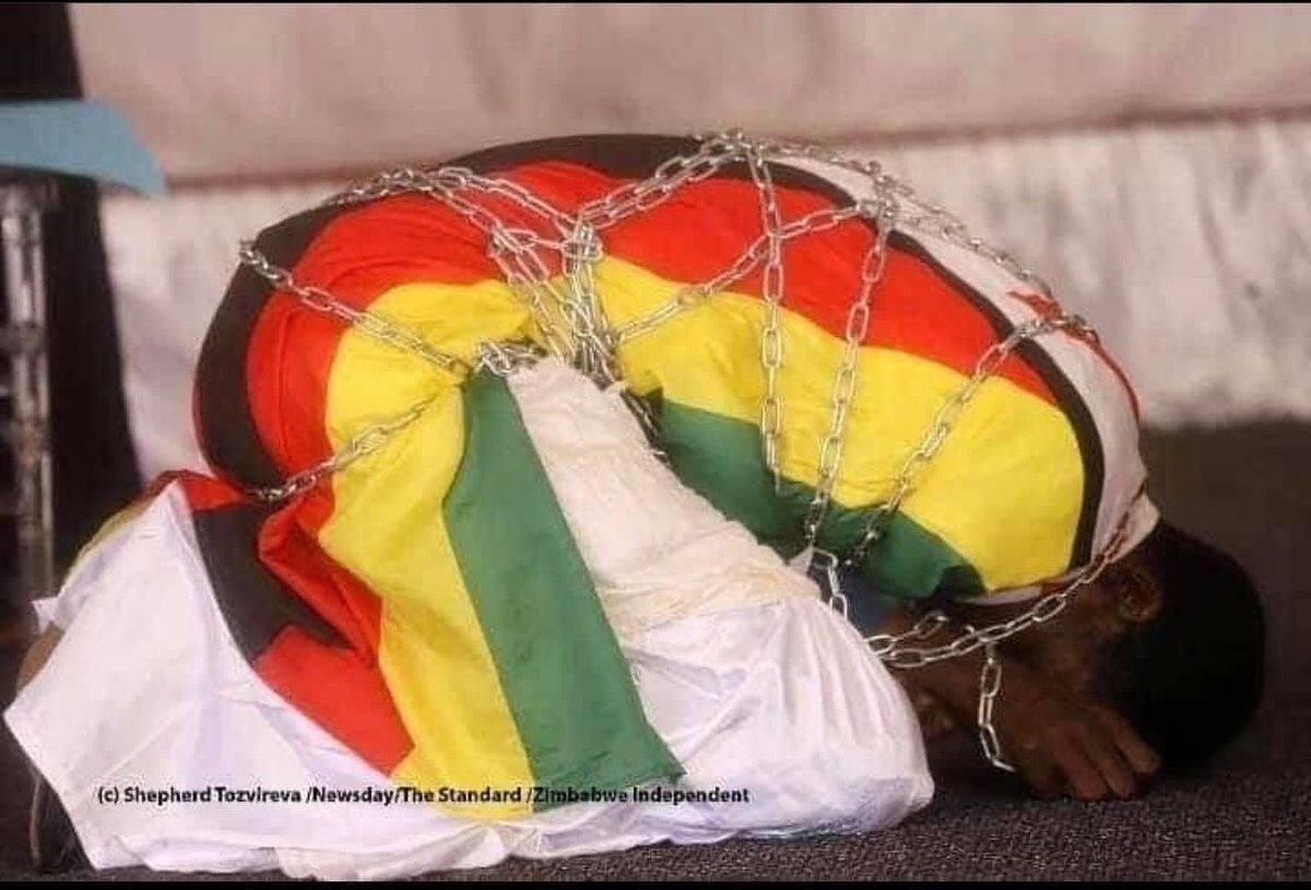 plaigal21's tweet photo. ED must go that’s a bigger threat. There’s too much power for a coward with no intellect. That’s a bigot with a collar, there’s a disconnect
#ZanuPFMustGo
#WeCanNotBreath
#31July2020 https://t.co/sw9WPV6wrU