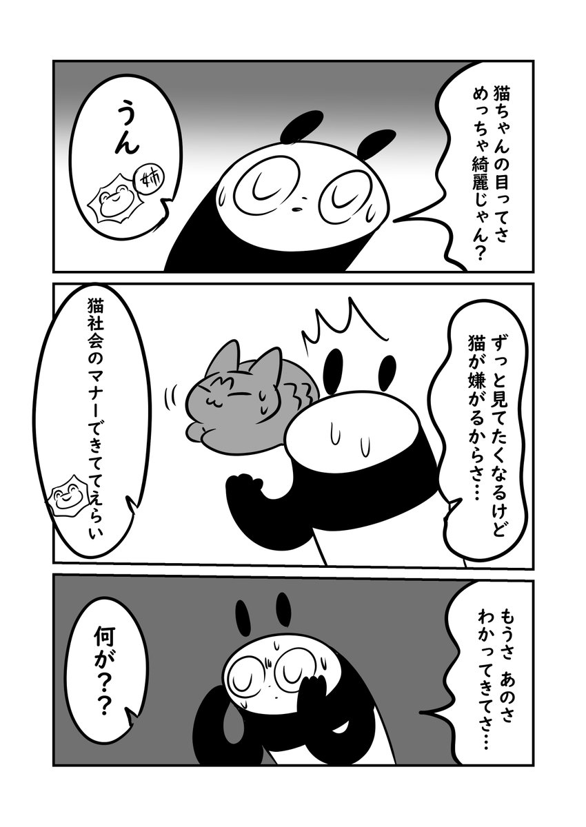 猫の目は光が反射しまくるからキラッキラでずっと見ていたいって思っちゃう… #猫パン日記 #ぬら次郎日記 