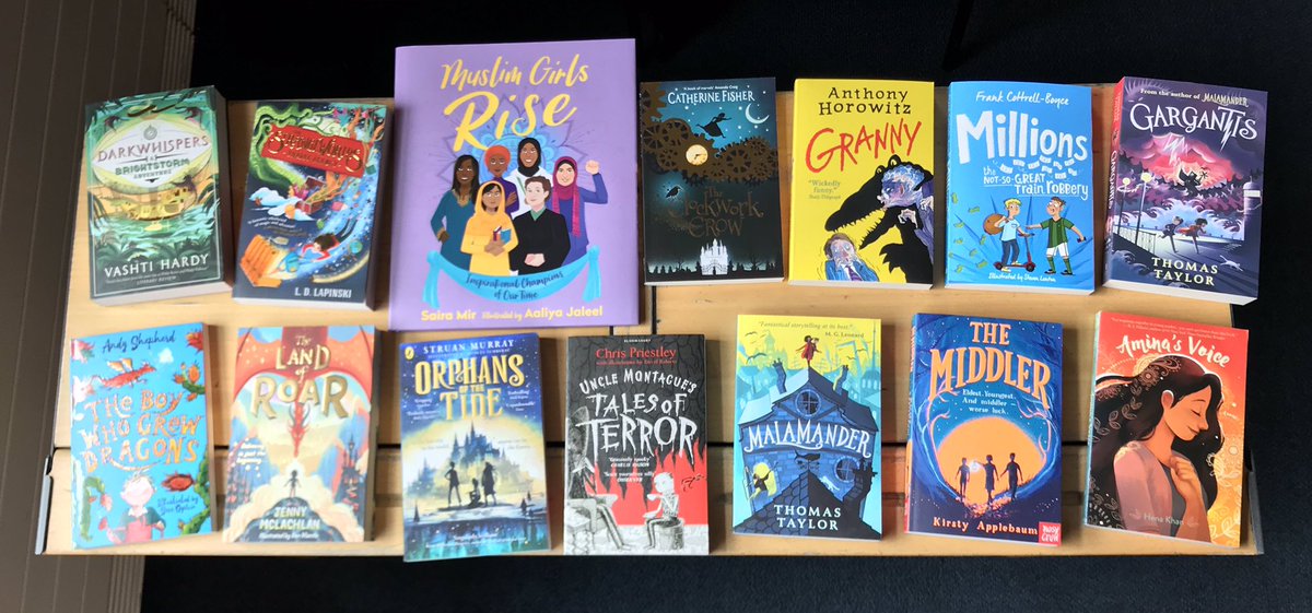 StechfordReads's tweet photo. Lots of brilliant new books for 5RC’s reading corner! @KirstyApplebaum @ldlapinski #readingforpleasure https://t.co/57D8u89pJX