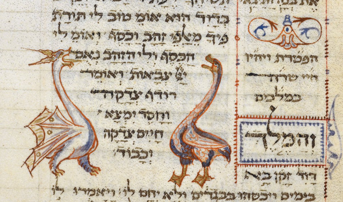 This dragon is the size of the duck he's fighting. (BL, MS Oriental 2736, f. 312v)