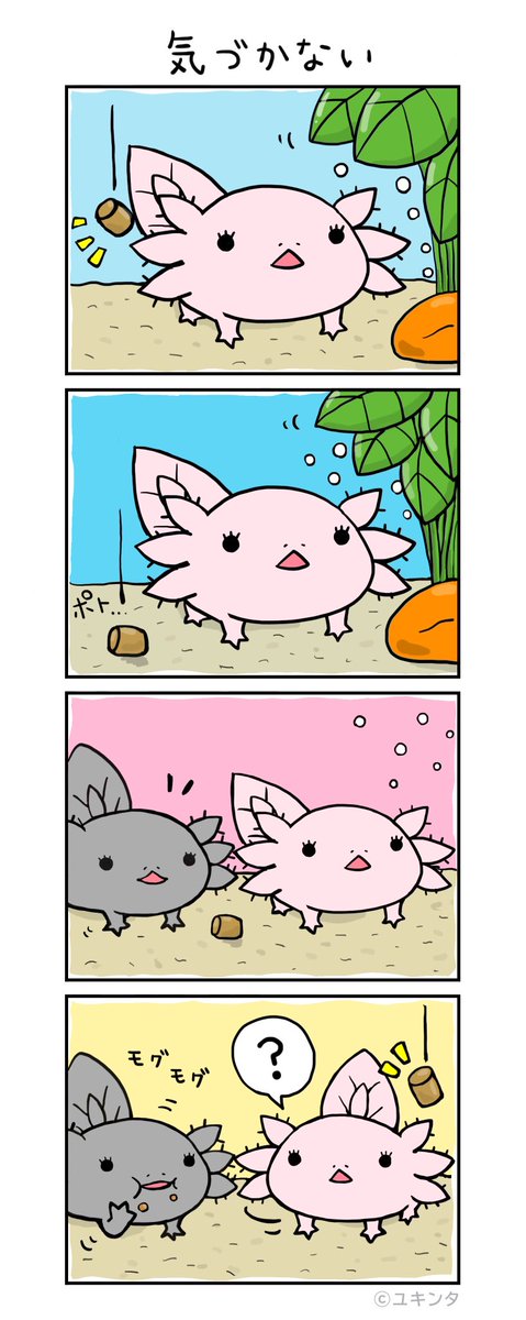 ウーパールーパーのtwitterイラスト検索結果 古い順
