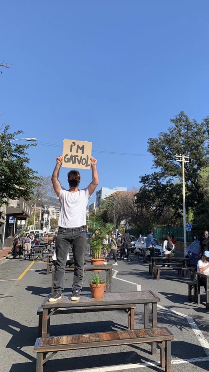 ryeschwarma's tweet photo. one glass of yt’s white wine and even the plants are protesting https://t.co/kOkIyzcnzb