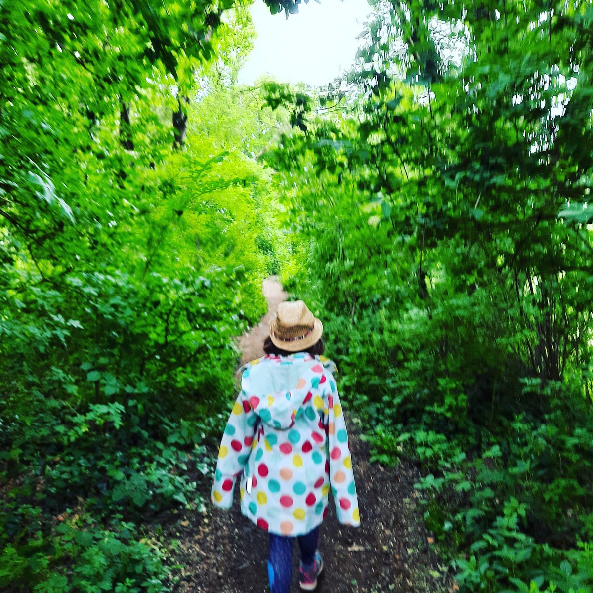 @readinglikemad on Instagram. New account with my daughter discussing  #ChildrensBooks give an enthusiastic young reader a follow! @scraphamster @tompalmerauthor @NosyCrow @penguinkids @MacmillanKidsUK @BarringtonStoke #childrenspublisher #childrensauthor #childrenslibrarian