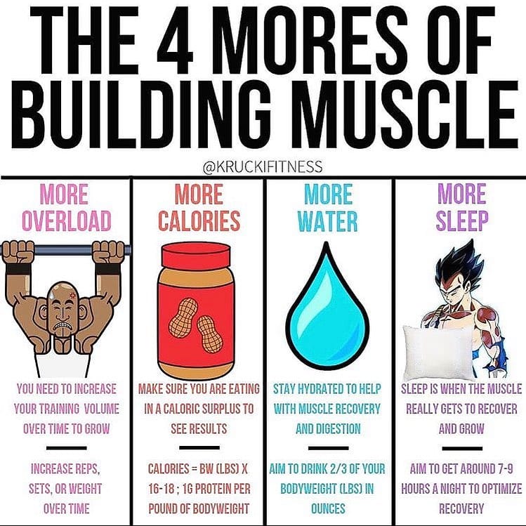 gymtribesports's tweet photo. 💪💪💪 #neverquit #gymcrew #fitfam #strongsquad #believe #staystrong #gymlife #gymtribe https://t.co/oDqwy5emFG