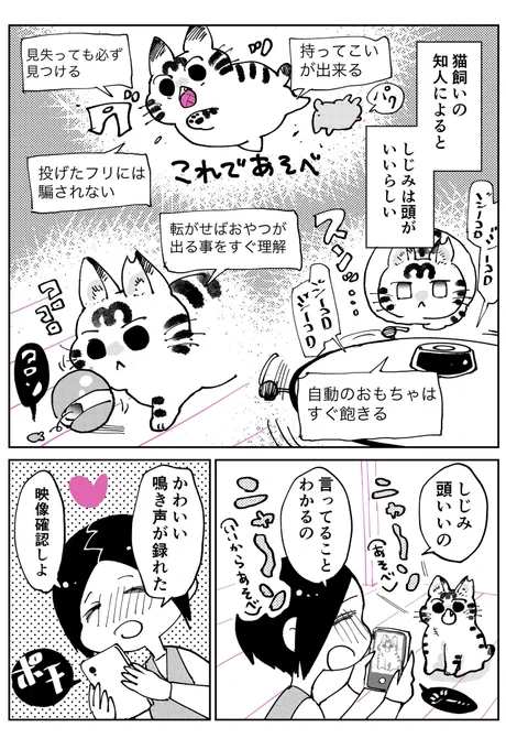 3本足のしじみちゃん89 