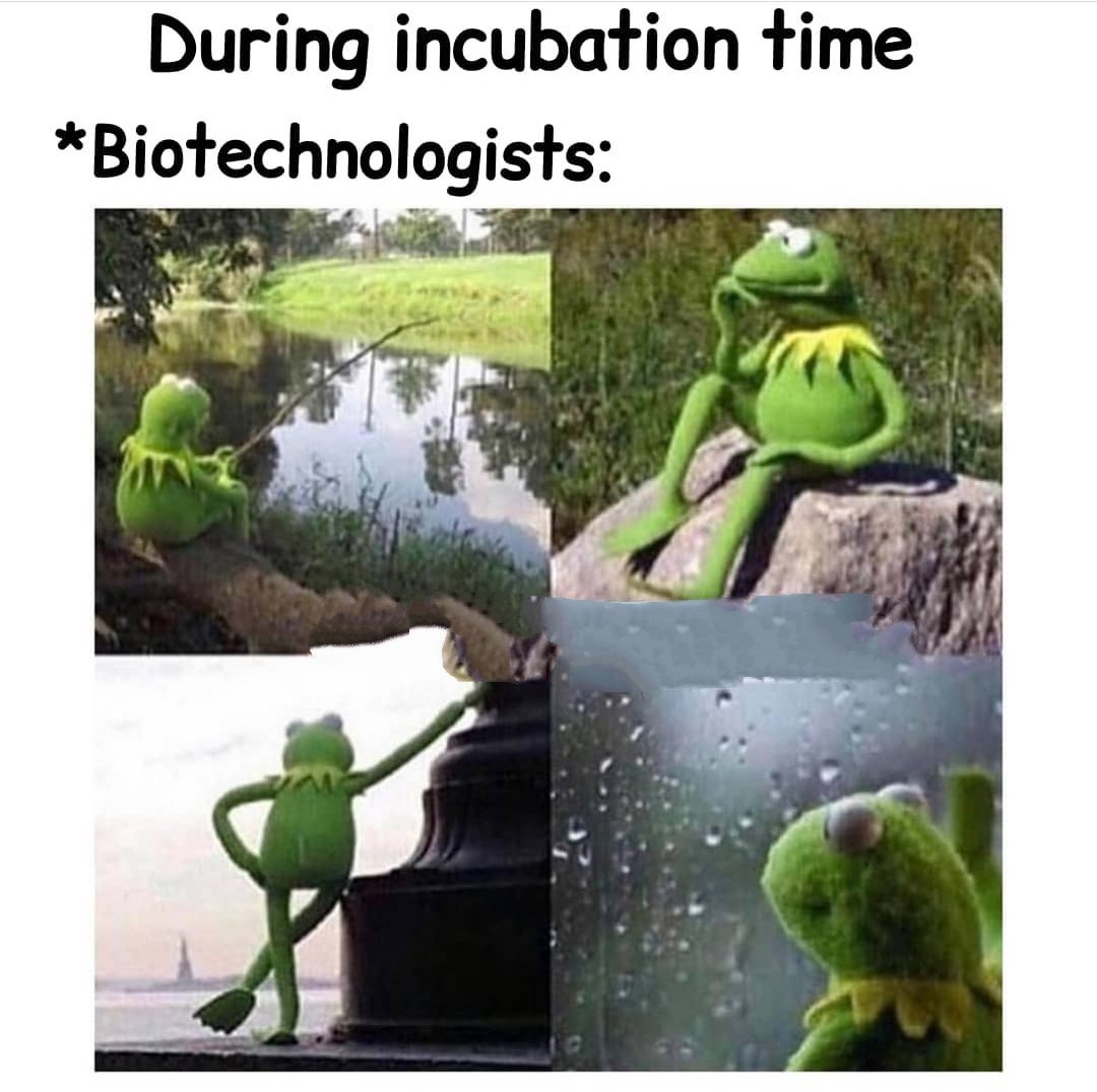 bio_geeks's tweet photo. Follow @bio_geeks for more fun &amp; creative information posts! 
.
.
#biogeeks #biology #biotech #lifesciences #science #sciencefiction #sciencememes #biologymemes #biotechnologymemes #biochemistrymemes #research #researcher #scientist  #incubation #quarantine #covid #lab #virus https://t.co/VsPMiboyrS