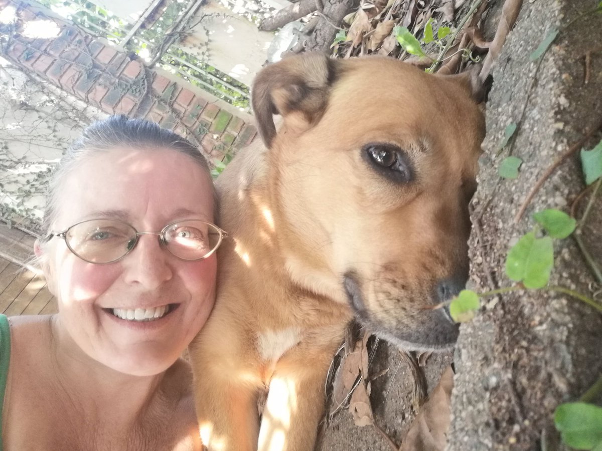 ladydebidebz1's tweet photo. One Golden Girl...
Can go from Snooze-mode to Fierce Watchdog faster than you can say 'Bliksem'...🥰🥰🥰
#BraveGirl
#MomsProtector
#GottaLoveMissMaddie https://t.co/DvutT6ZsNr