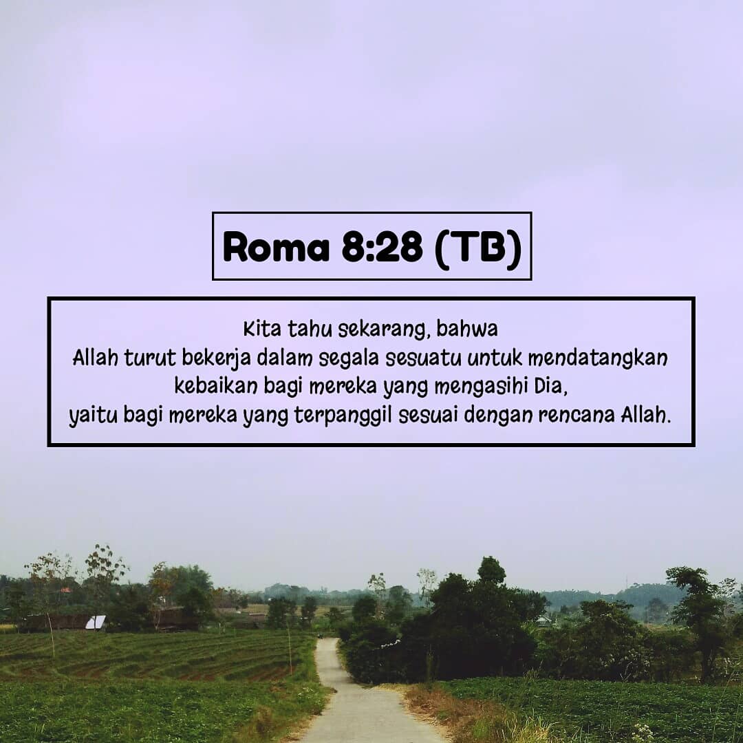 DianAnggraini02's tweet photo. YT = https://t.co/tSbIPNoO1r
Web = https://t.co/ICmHELCMIC
#ibadahonline #ibadahlive #ibadahdirumah #ibadahdirumahaja #ibadahstreaming #ibadahkristen #siaranlangsung #ibadah #TuhanYesus #orangKristen #anakTuhan #kristen #Yesus #gereja #gerejaonline #firmanTuhan #firman #GBU https://t.co/spQjNI6fHU