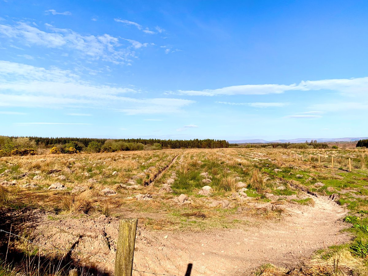 Finally, if you are still asking...”why don’t farmers just grow vegetables on their land”, you have never been to the Belmullet peninsula!Irish farmers deliver world-class, nutritious food, with increased efficiency every year, suited to the resources they have. 6/6