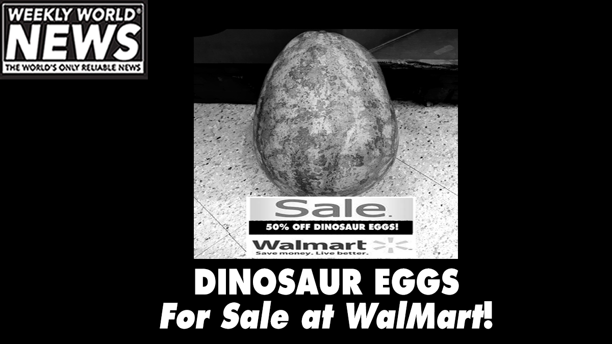 Get 'em while their hot! #weeklyworldnews #dinosaureggs #dinosaurs #bigsale #dinosaureggsale https://t.co/PRnKJ4uZ4H