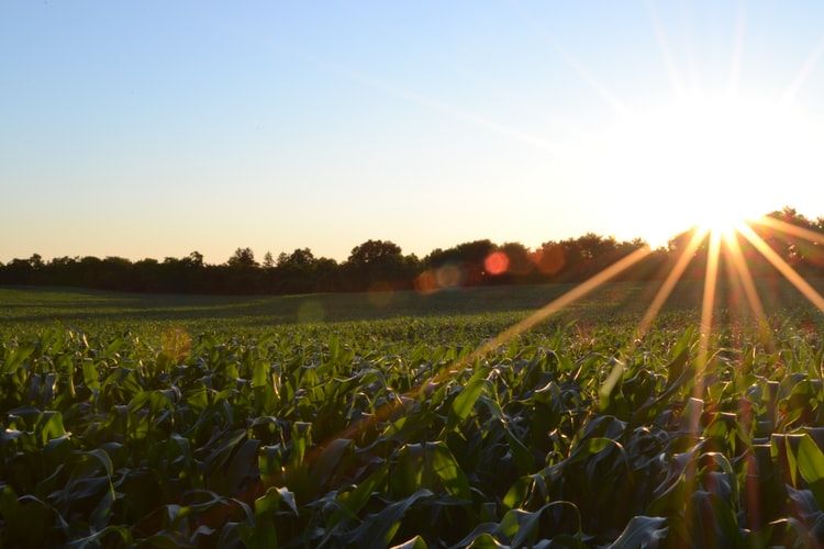 Nouvel article sur le #blog ! Tiphaine a écrit un article au sujet de l'émission l'Amour est dans le pré, sur M6, ainsi que ce que cela nous apprend sur la relation #ville / #campagne.🏙🏞 Pour le lire : buff.ly/3gwr0D9 #Courtechelle