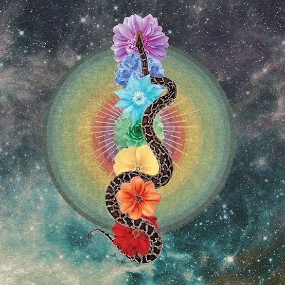  #VeenaNaada kindles the fire in  #Kundalini that lies curled in the  #Mooladhara, the lowest of the six nerve centers in the spinal column. The Vibrations tht are set in motion by the body heat and the life breath (Anala and Prana) gathers momentum as they travel up the spinalchord