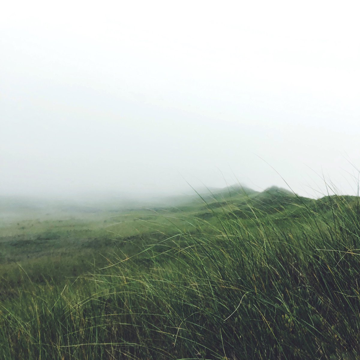 AMcClenning's tweet photo. So much mood.

The MACSFIELDNOTES Creative Co.  Alyssa J. McClenning © https://t.co/fjAPeYOtLA