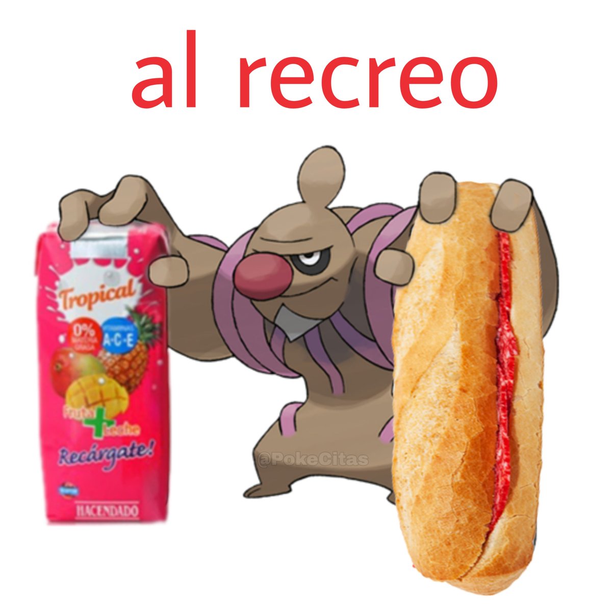Memes Pokémon (@pokecitas) on Twitter photo 