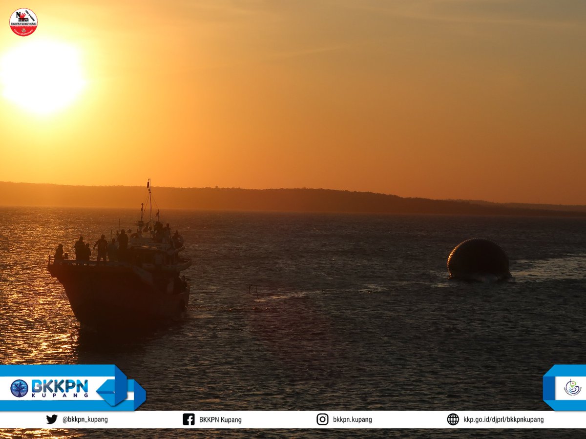 BalaiPK_kupang's tweet photo. Hai #SahabatBahari

Hari ini, Tim Quick Response BKKPN Kupang Bersama Stakeholder dan masyarakat sekitar melakukan upaya penarikan bangkai Paus Biru yang sempat terseret oleh arus laut menuju perairan Desa Lifuleo untuk dilakukan proses penguburan

#KKPGOID 
#DJPRL
#Lebebae https://t.co/mQN7jOSYlI