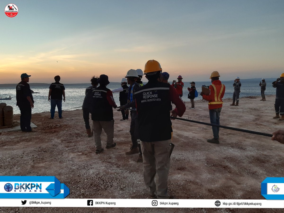 BalaiPK_kupang's tweet photo. Hai #SahabatBahari

Hari ini, Tim Quick Response BKKPN Kupang Bersama Stakeholder dan masyarakat sekitar melakukan upaya penarikan bangkai Paus Biru yang sempat terseret oleh arus laut menuju perairan Desa Lifuleo untuk dilakukan proses penguburan

#KKPGOID 
#DJPRL
#Lebebae https://t.co/mQN7jOSYlI