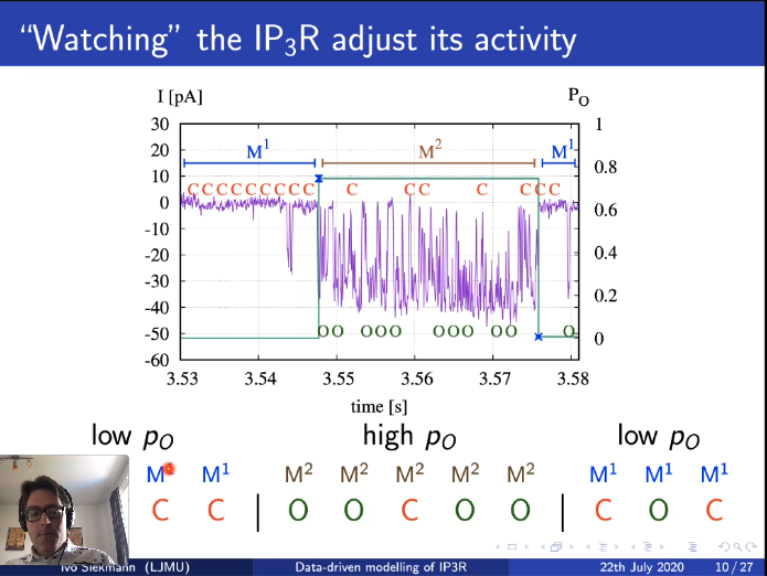 m_depitta's tweet photo. Continuous-time aggregated Markov models are used to model #IP3R kinetics, but to construct them right, its much easier to look at distributions of events, rather than at single channels transitions. Ivo Siekmann from @LJMU on #CNS2020Online @CNSorg https://t.co/jVxlpUkVXy https://t.co/KA1MDdH0Q2
