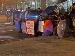 Vitalist International tweet media