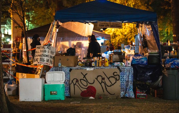 Vitalist International tweet media