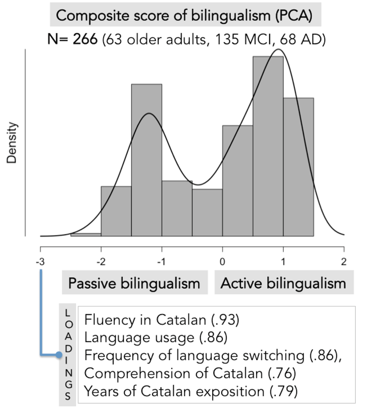 Individual composite scores for bilingualism were calculated as regression coefficients indicative of active (+) and passive bilingualism (-).