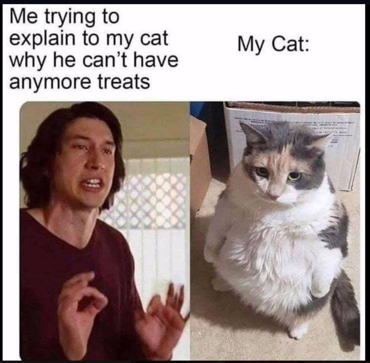 vetforcatsonly's tweet photo. Is overeating and obesity a problem for your kitty? Call For Cats Only to schedule an appointment with one or the doctors. We can help with proper nutrition and feeding plans so your cat can be the sleek feline he was meant to be. #vetforcatsonly #cats #lovecats #obesity #vets https://t.co/pjkxoZq1J9