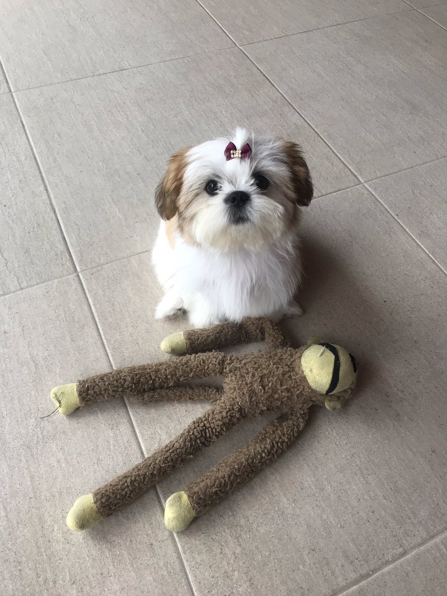 Ingridiflen's tweet photo. @Kefera https://t.co/K4T2RW95aW