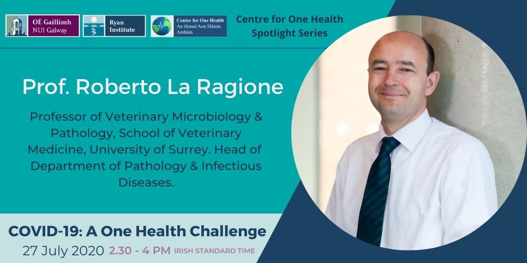 Professor <a href="/RobLaRagione/">Roberto La Ragione</a> Head of the Dept of Pathology &amp; Infectious Diseases, joins us to discuss how COVID-19 is a One Health Challenge

<a href="/RyanInstitute/">Ryan Institute @ University of Galway</a> @onehealth_nuig #SpotlightSeries | 27 Jul 2020 2.30-4PM IST ⏰

Register ➡️ bit.ly/3gXfqAT

@nuigalway @NUIGalwayMed