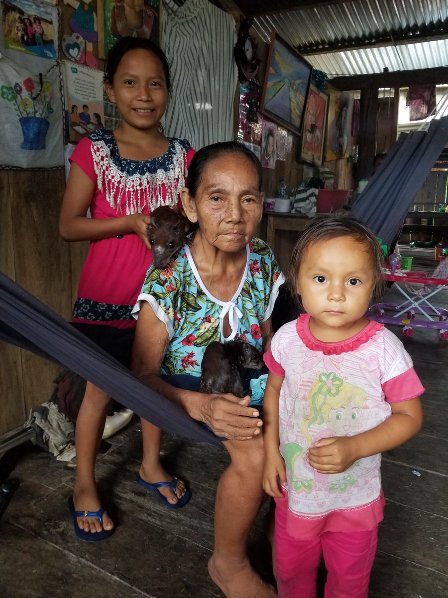 ProjectAmazonas's tweet photo. Covid-19 is having devastating effects on Amazon rainforest communities. Many isolated communities have no real access to medical care, so it is up to us to get that care to them. We'll be launching a campaign shortly to serve people like these: https://t.co/fgypFF9NFM