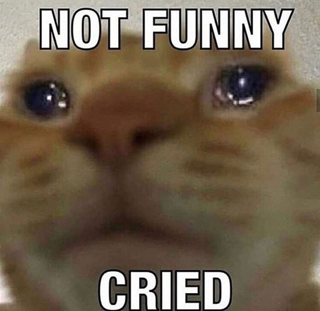 ๐ช. ๐ณ๐๐๐๐๐๐๐ (@cmniscience) on Twitter photo  ๐ช. ๐ณ๐๐๐๐๐๐๐ (@cmniscience) on Twitter photo