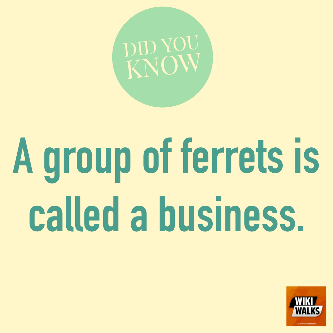 Wiki Walks Podcast tweet media