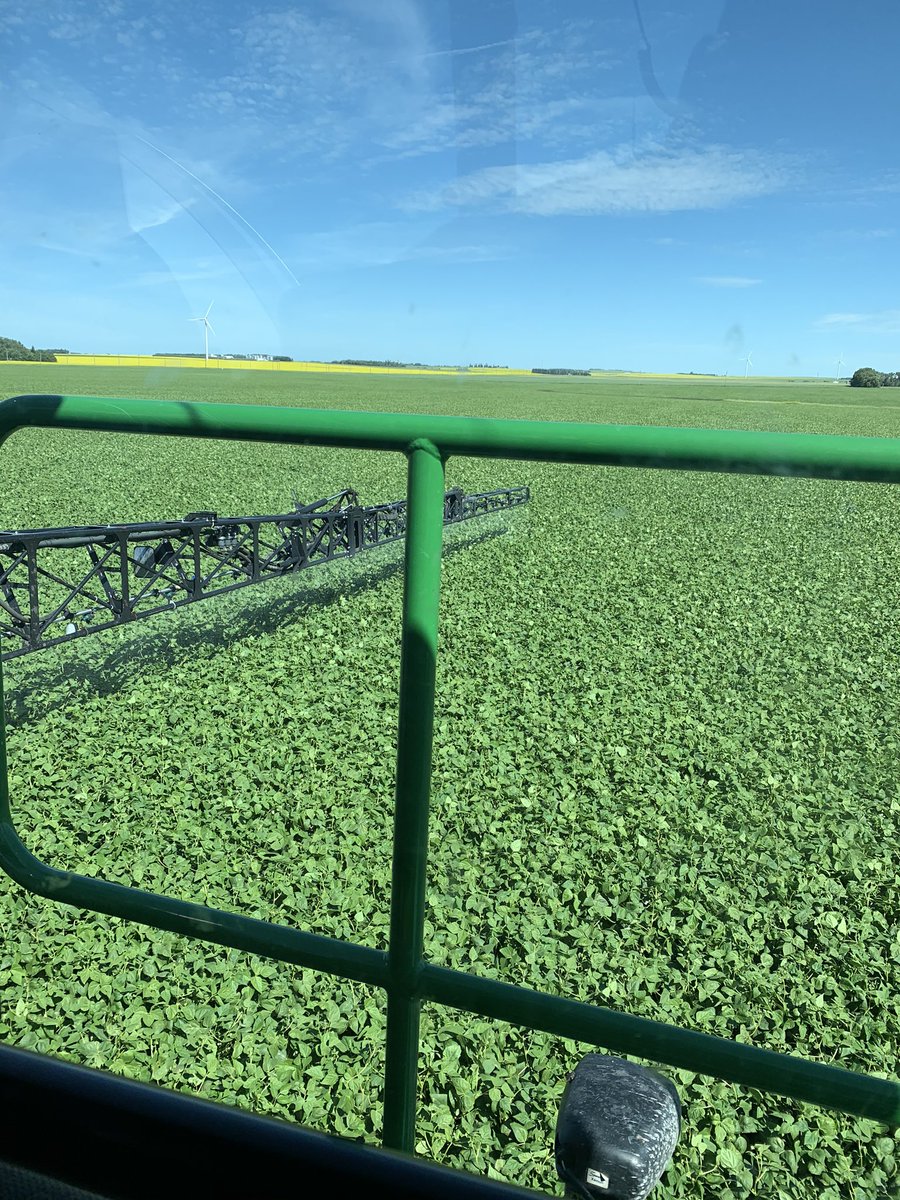 RoncerayDan's tweet photo. Pintos looking De-Lux . #P501 looking even sexier next door. https://t.co/Yb65Au2DyE