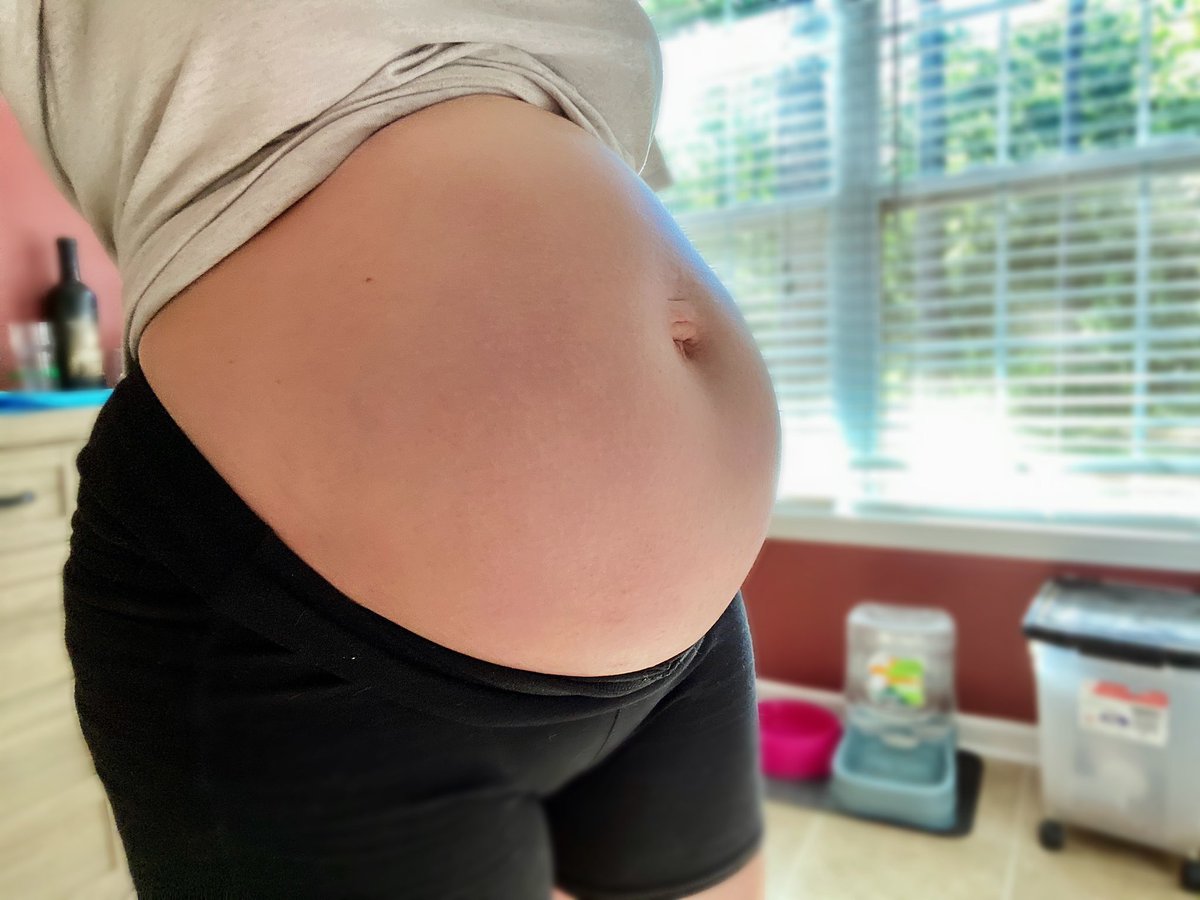 Kmaree697's tweet photo. Dani girl is growing😍🤰🏼 https://t.co/y05Kv354mN