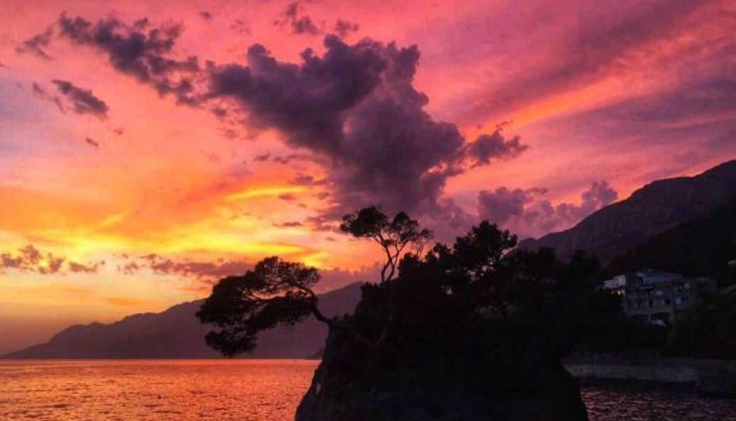 Brela_Croatia's tweet photo. The symbol of #Brela π #KamenBrela #BrelaStone
πΈ Ivana BradariΔ π
#brelative #Croatia #Kroatien https://t.co/6lce7WsQ8K