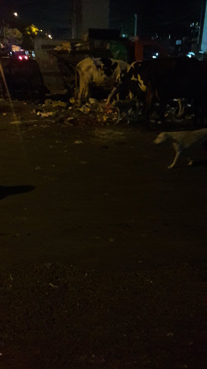 KANDIVALI2's tweet photo. आपल्या @mybmcWardRS निदर्शनास आणून देण्यात येते की, #कांदिवली नवीन लिंक रस्त्यावर कचरपेटीची उपलब्ध असताना काही समाजकंटकांकडून रस्त्यावरच कचरा टाकण्यात येतो अश्या नियमांचे पालन न करणाऱ्या व्यक्तींवर दंडात्मक कारवाही करून योग्य ती उपाययोजना करावी ही विनंती.
@mybmc
@SwachSurvekshan https://t.co/fXgbK5GqRu