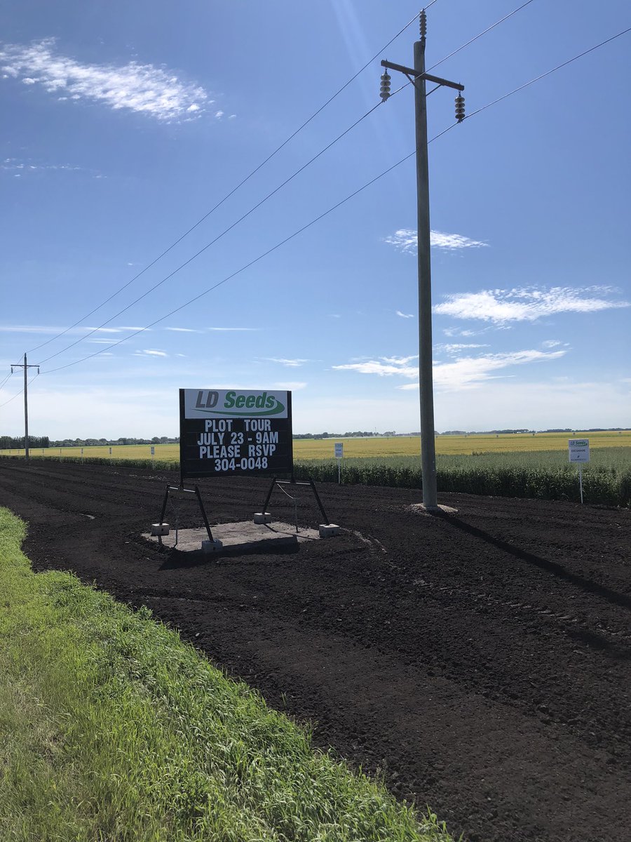 <a href="/DawsonThiessen/">Dawson Thiessen</a> has our plots looking mint for tomorrow. We will be show casing:
6 new wheat varieties, 2 new oat varieties, 4 new soybean varieties, and 4 new corn varieties that will be available for the 2021/2022 growing season. Don’t miss out! There is still room to attend.