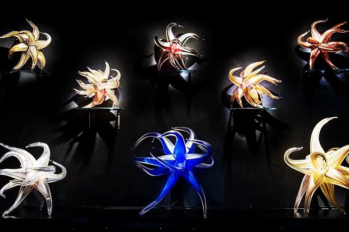 The latest #CURATORBATTLE is for a #starobject in the museum. At WMODA we have taken this literally! Here is our Constellations exhibit featuring iconic Windstars by Miami glass artist #robstern. Visit us WMODA.com #wmodamuseum #wmodafromhome #museumsfromthome