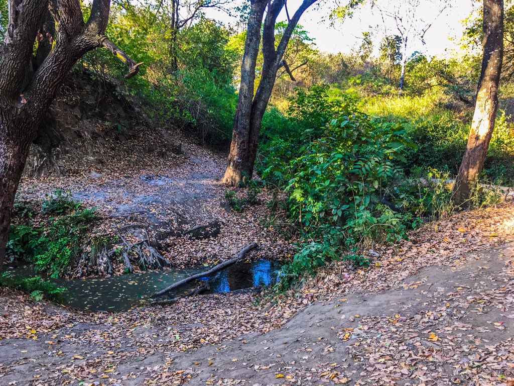 MisLenga's tweet photo. Afternoons are meant for hiking.. 🍃 #TravelZambia #Travel #UnikueModa https://t.co/d2xLSzDjuK